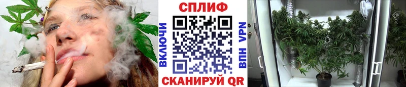 Наркошоп купить МДМА  Каннабис  A-PVP  МЕФ  Галлюциногенные грибы  Гашиш  Амфетамин  Вилючинск