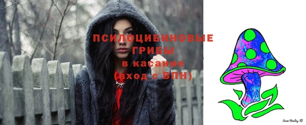 прущая мука Каменск-Шахтинский