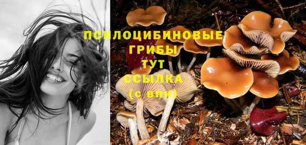 мяу мяу мука Каменка