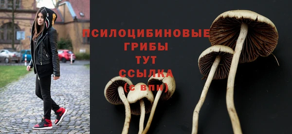 прущая мука Каменск-Шахтинский