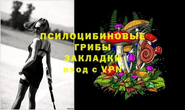 твердый Каменногорск