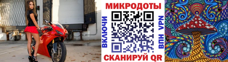 Псилоцибиновые грибы Psilocybe  Купить где  Вилючинск 
